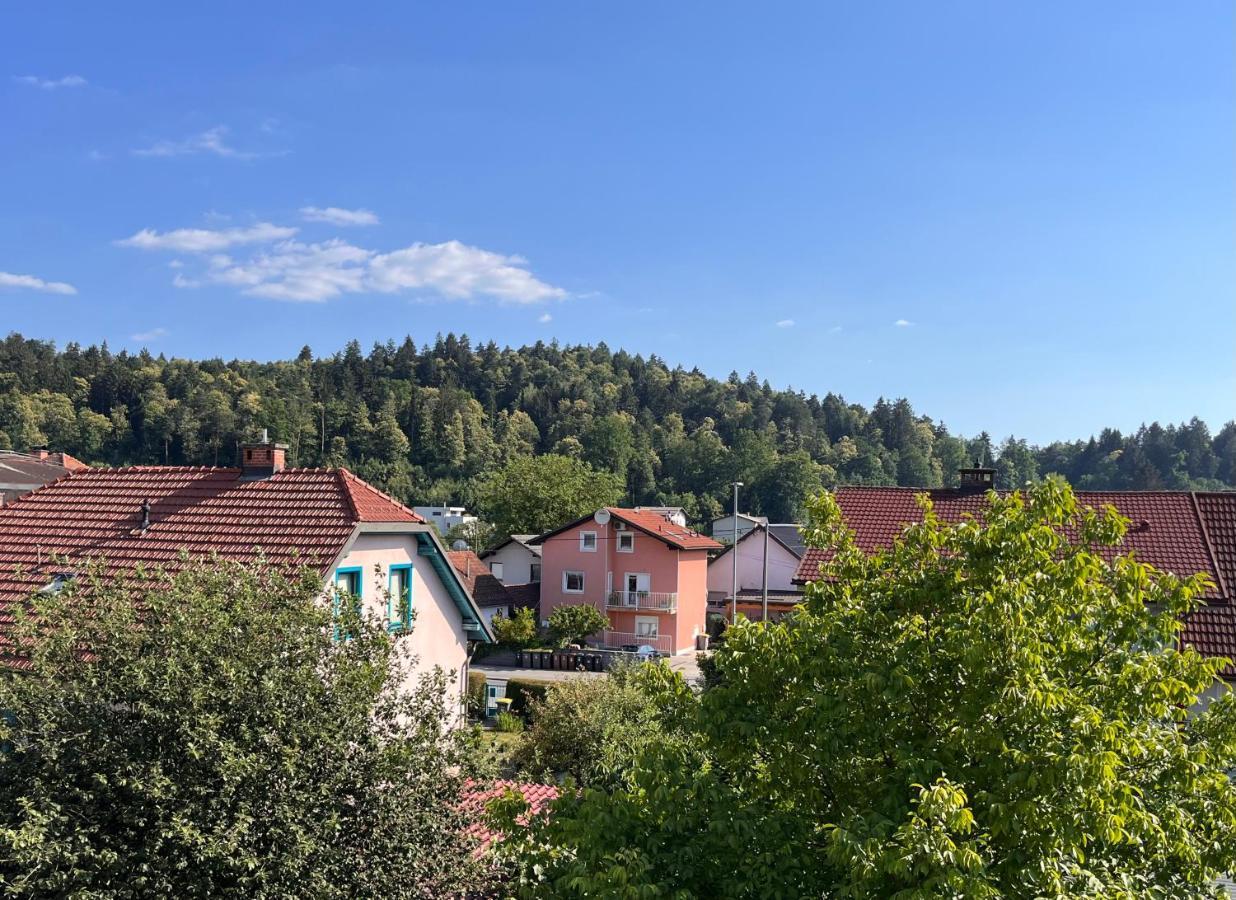Apartment Malina - Free Private Parking Любляна Екстериор снимка